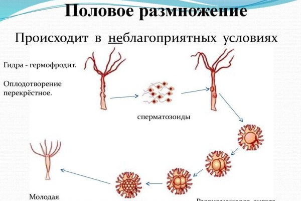 Ссылка на сайт кракен в тор